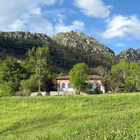 Escueles De C * Collia